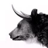 ATM Trading - Чат