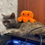 Упоротая Тётя Муся😌