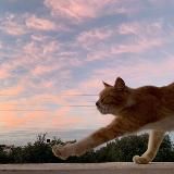 Инструмент жизни