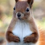 Когда-нибудь будем богаты (Обсуждения)