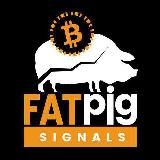 Fat Pig Signals