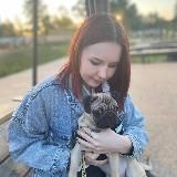 один грустный попуг