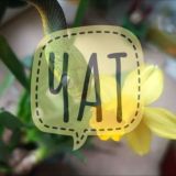 Чат канала chronic_v