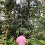 Записки товарщика