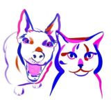 Чат Надо брать!