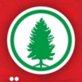 🎄🎉Ёлки Ташкента по оптовым ценам 2023 ☃️❄️📱Онлайн-магазин новогодних товаров 🎅 🎄