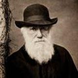 📢 d24.biz Дарвин Чарльз channel