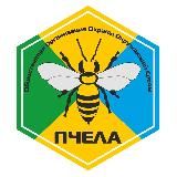 ПЧЕЛА