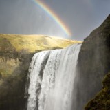 Алхимия Жизни