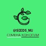Семена конопли | Семена марихуаны | MJ Seeds