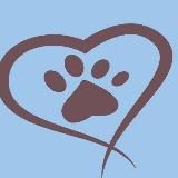 "Арчибальд"