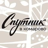 Реабилитация. Спутник в Комарово