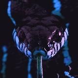 𝚂𝚄𝙿𝙴𝚁𝙲𝙴𝙻𝙻🦋