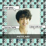 mess | land