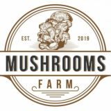 Сhampignon.uz - Шампиньоны.уз