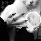 the end. горная са́кура