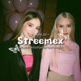 👉🏻🩶 𝐬𝐭𝐫𝐞𝐞𝐦𝐞𝐱 ⸰ 𖥔 ࣳ