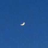 Записи на банановой кожуре