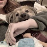 ♡.°🍬🅂🅆🄴🅃🅃🄴 🄶🅄🄼°🧁୭̥