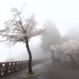 выmышленный mир.