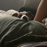 Качесова Ира: гедонизм на минималках