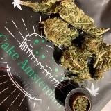 🌳Cakeamsterdam🌳