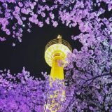 Южная Корея