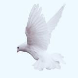 Есфирь| Иконописная мастерская