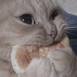 ТРЕШ ГАЗЕТА