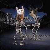 Пляска мэмов