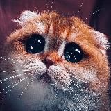 Симпампульки