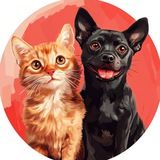 Кошечки & Собачки🐱🐶
