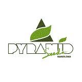 Pyramid Seeds