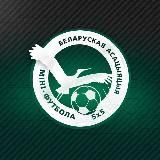 Белорусская ассоциация мини-футбола