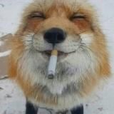 татарский канал