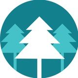 IT в лесу 🌲👨💻