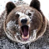 Самостоятельное изучение документов