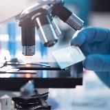 Гистология, патанатомия, цитология, морфология (патоморфология)