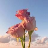 𝔻𝕠𝕓𝕣𝕚𝕪 𝕜𝕒𝕜𝕥𝕦𝕤