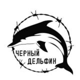 (^ЧЕРНЫИ ДЕЛЬФИН^)