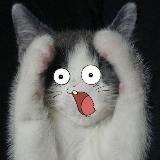 смешные переписки с админом