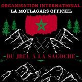 ️️⚜️🏆GOLD COFFEE 49🏆⚜️