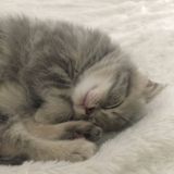 райский уголок♡