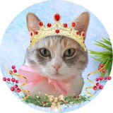 Кошка Масяня