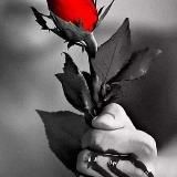 🎀 𝒟𝐸𝒟𝐼𝒞𝒜𝒯🌺𝑅𝐼𝒜𝒮 𝒟𝐸 𝒜𝑀💞𝑅 𝒴 𝒜𝑀𝐼𝒮𝒯𝒜𝒟 🎀❤️💋✍🏻👩❤️👨🌙🌈