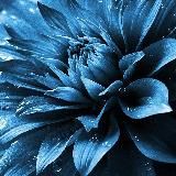 Hd Wallpaper 🖼️