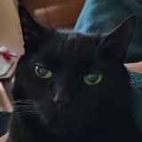 Алкоголики и быдло