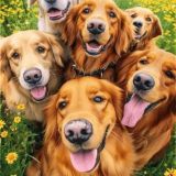 КРАСИВЫЕ ОТКРЫТКИ _ ЧАТ