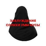 Заблуждения Солихи&Артема