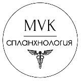 СПЛАНХНОЛОГИЯ 🪆